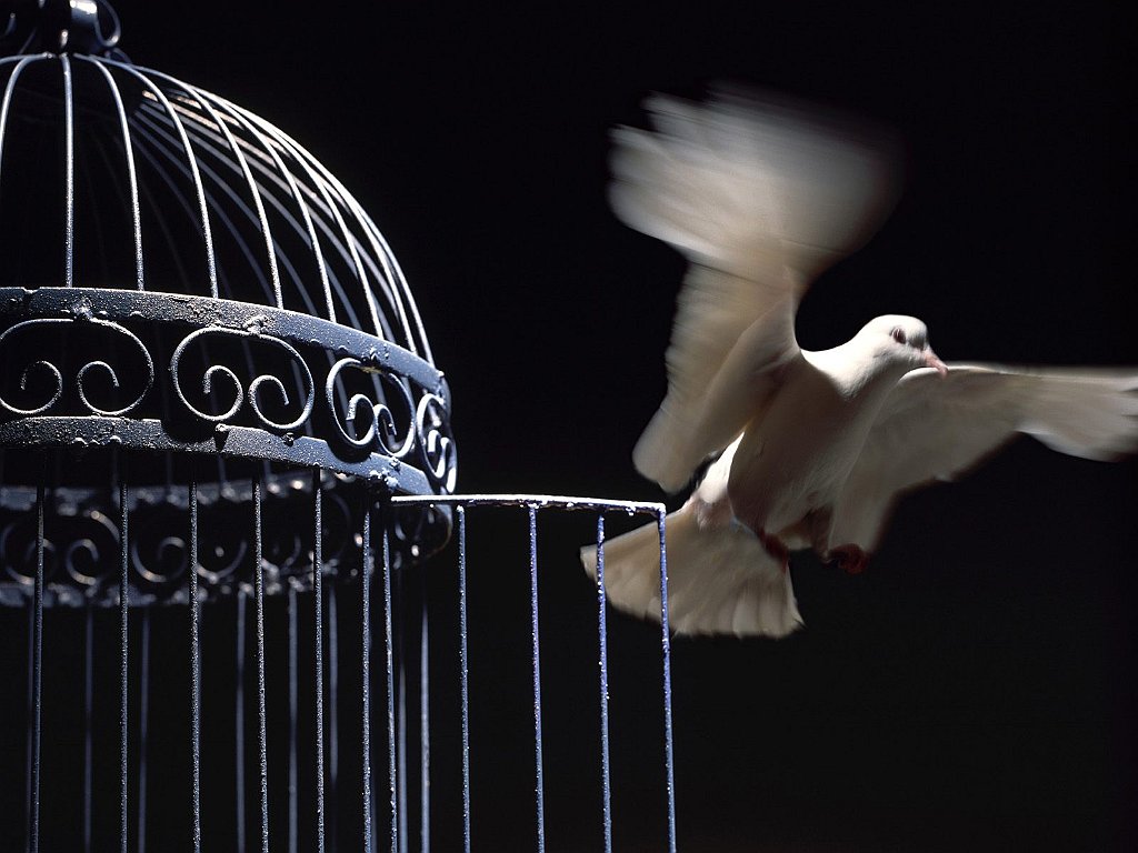 To Be Free